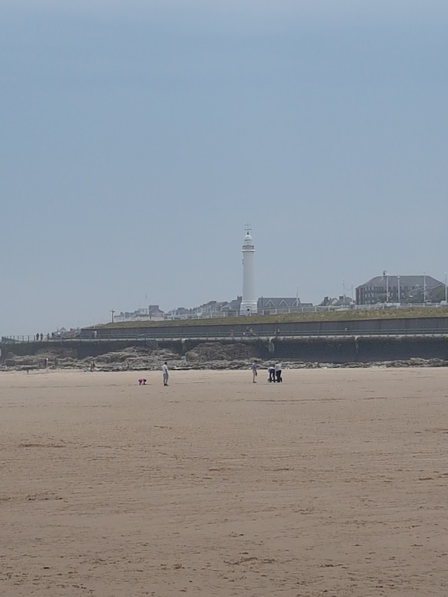Shore Amusements