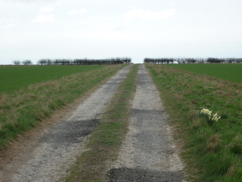 Bugthorpe Grange Glamping