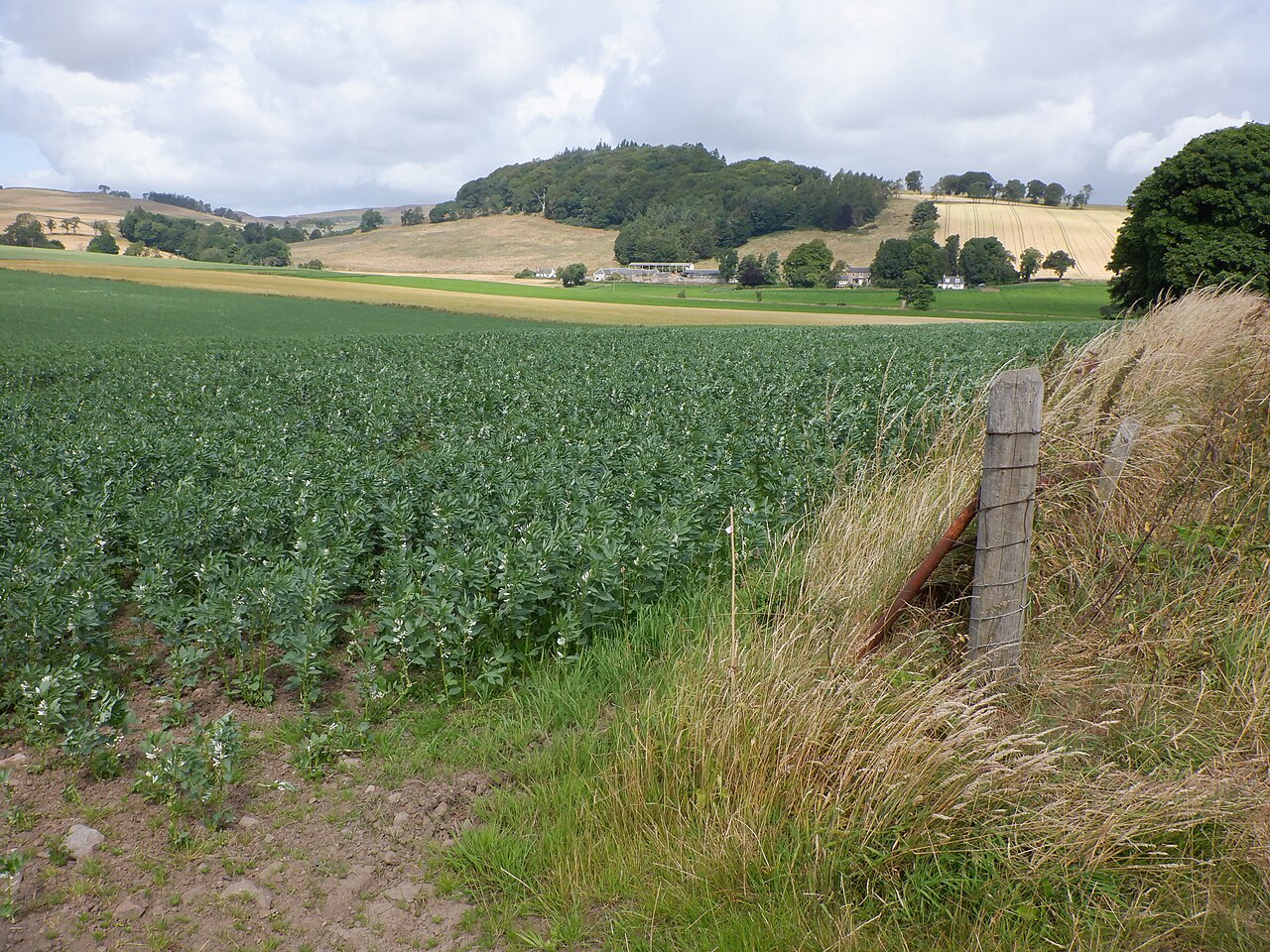 Outfield Farm