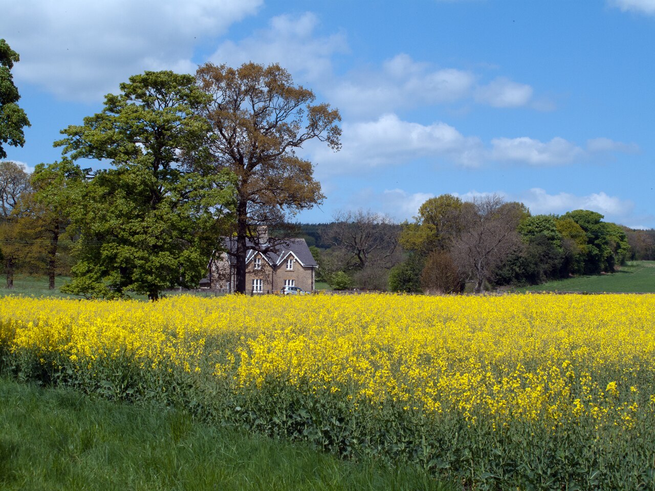 Sheep Pen Cottage - 5 Star - Sleeps 4 - Brancepeth - Durham