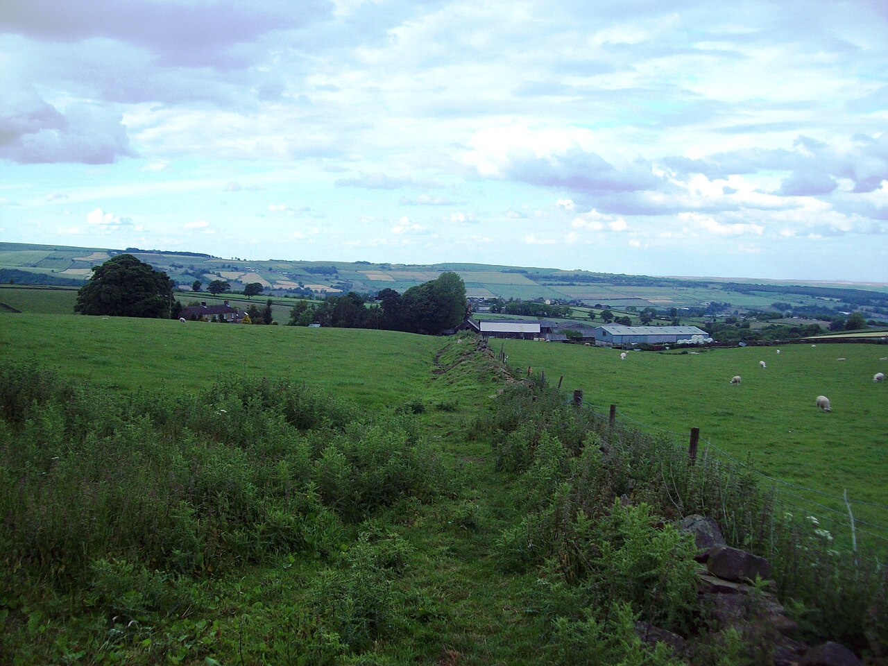 Loadbrook Farm