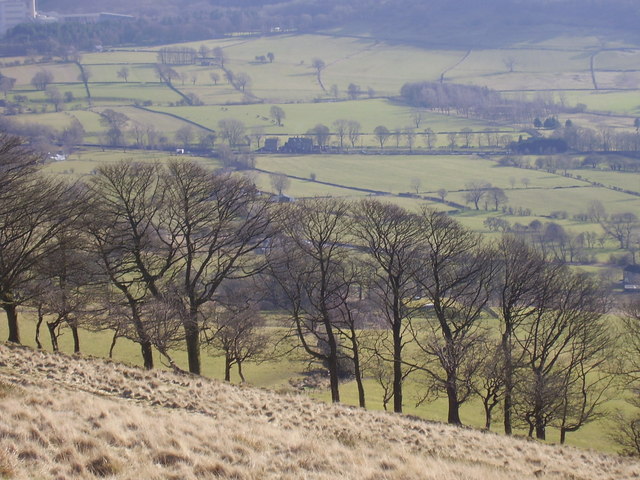 Riding House Farm Cottages