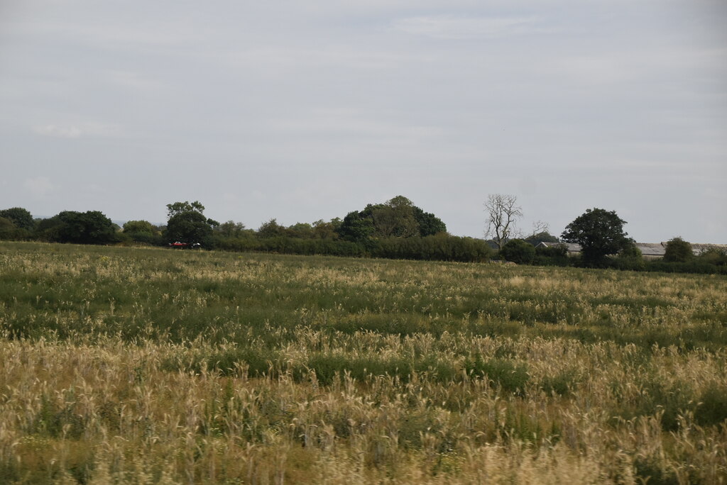 Skipbridge Farm Shepherds Hut