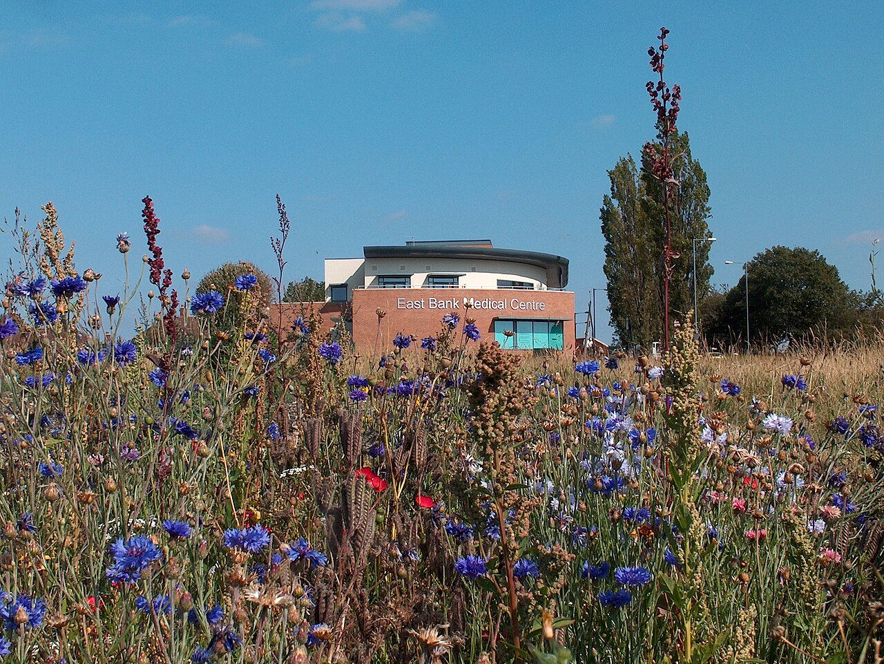 Springs Leisure Centre