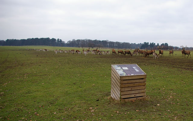 WWII Parachute Training Memorial