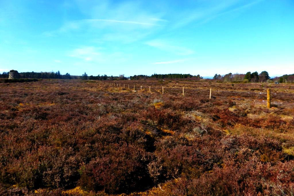Culloden Battlefield (National Trust for Scotland)