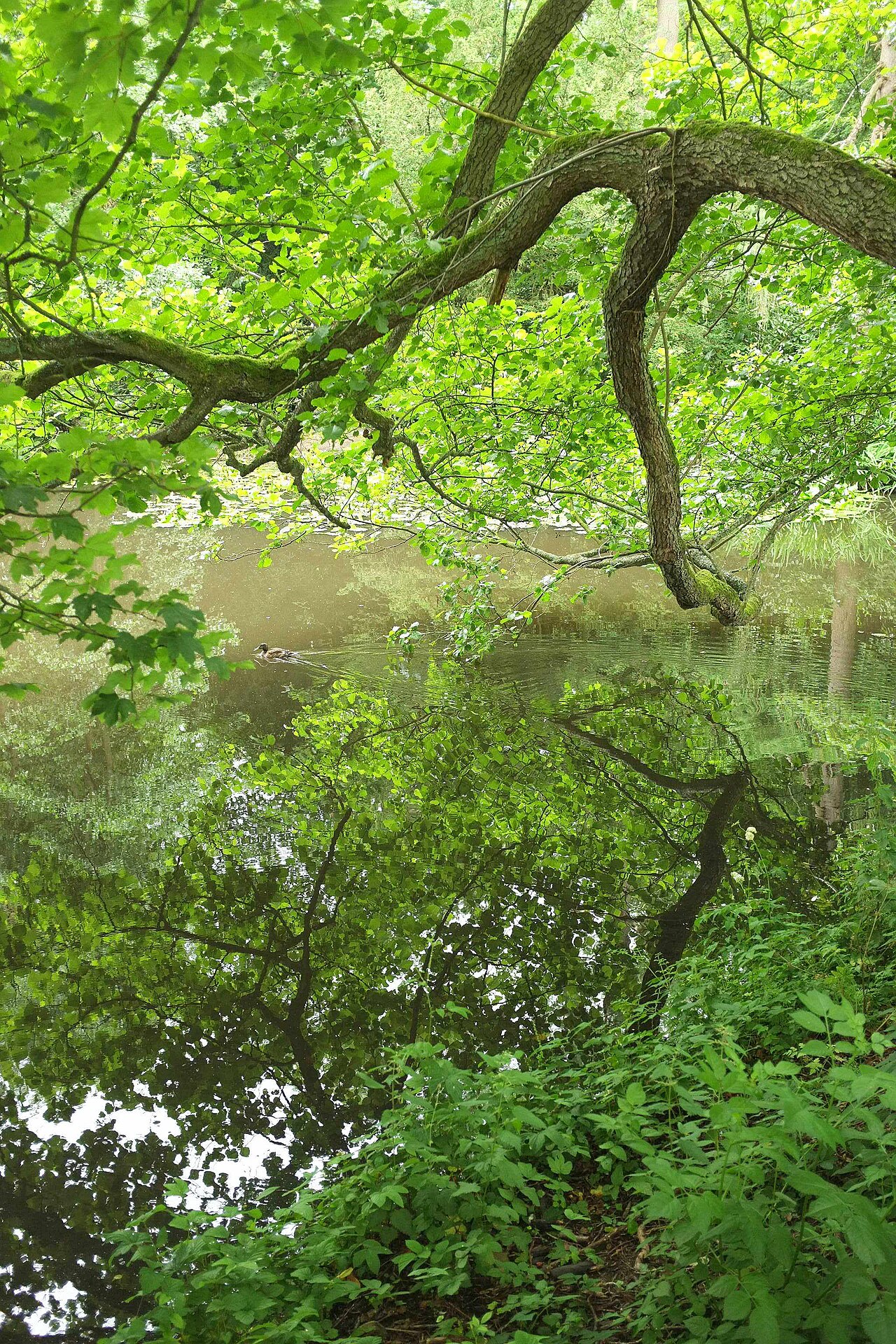 National Trust - Baddesley Clinton