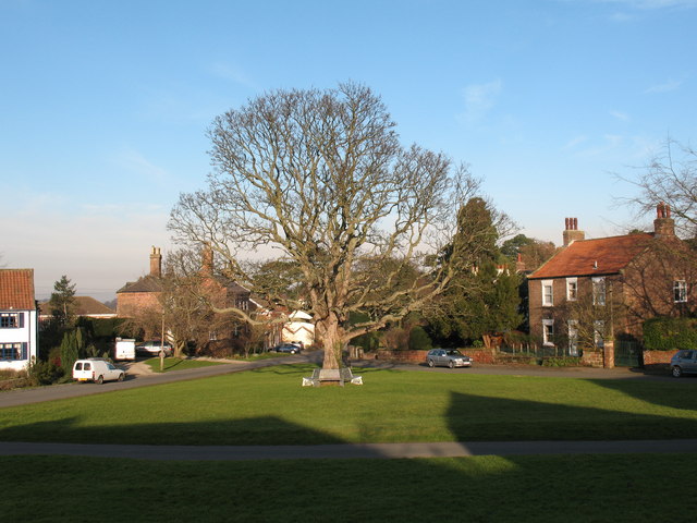 Aldborough Roman Site