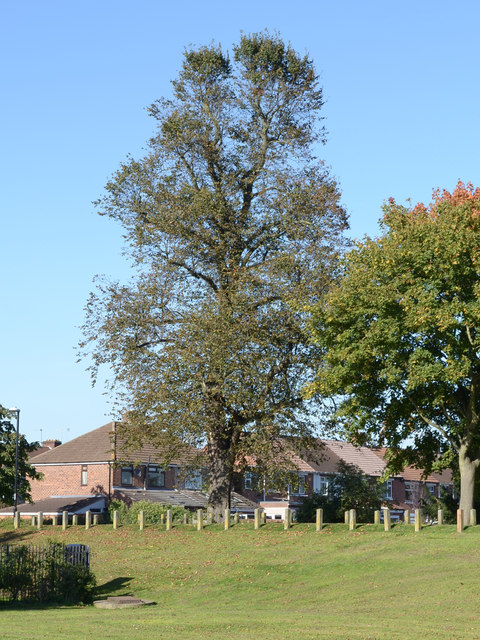 Caludon Castle ruins