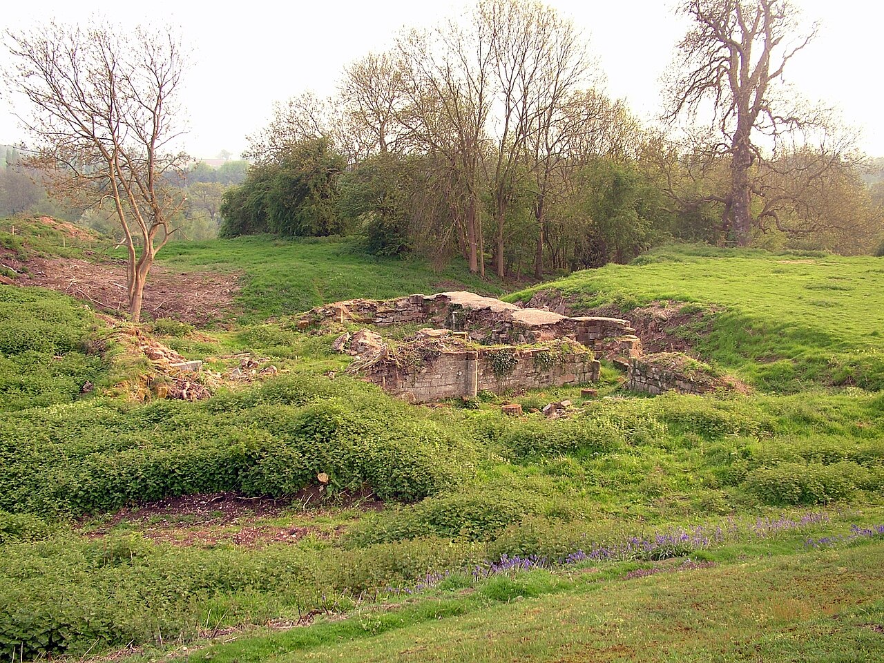 Bagots Castle