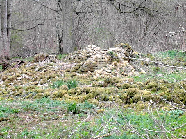 Spoonley Wood Roman Villa