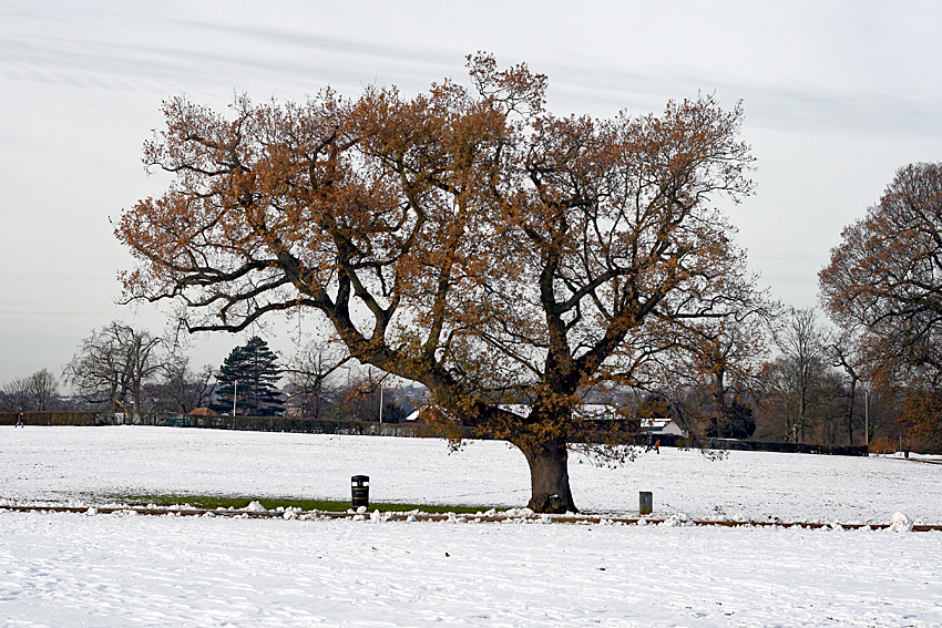 Stoke Park