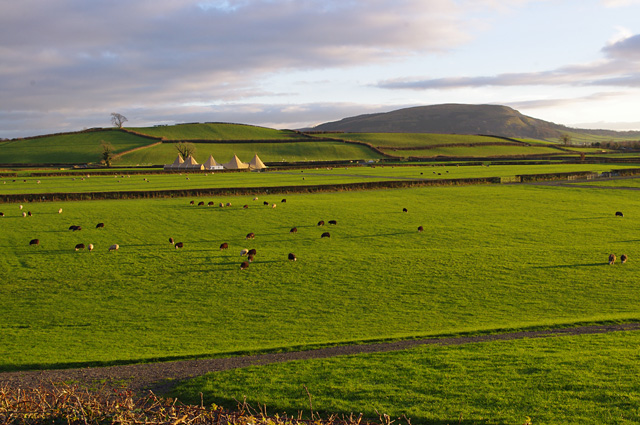 Westmorland County Showground