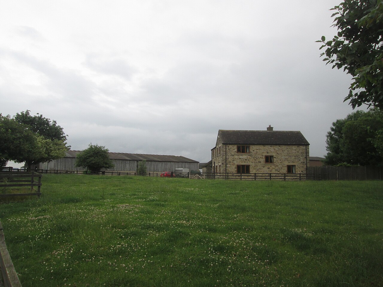 The Billingley Christmas Tree Farm