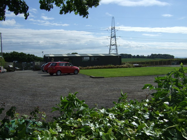 Sandhill Strawberry, Pumpkin & Christmas Tree Farm