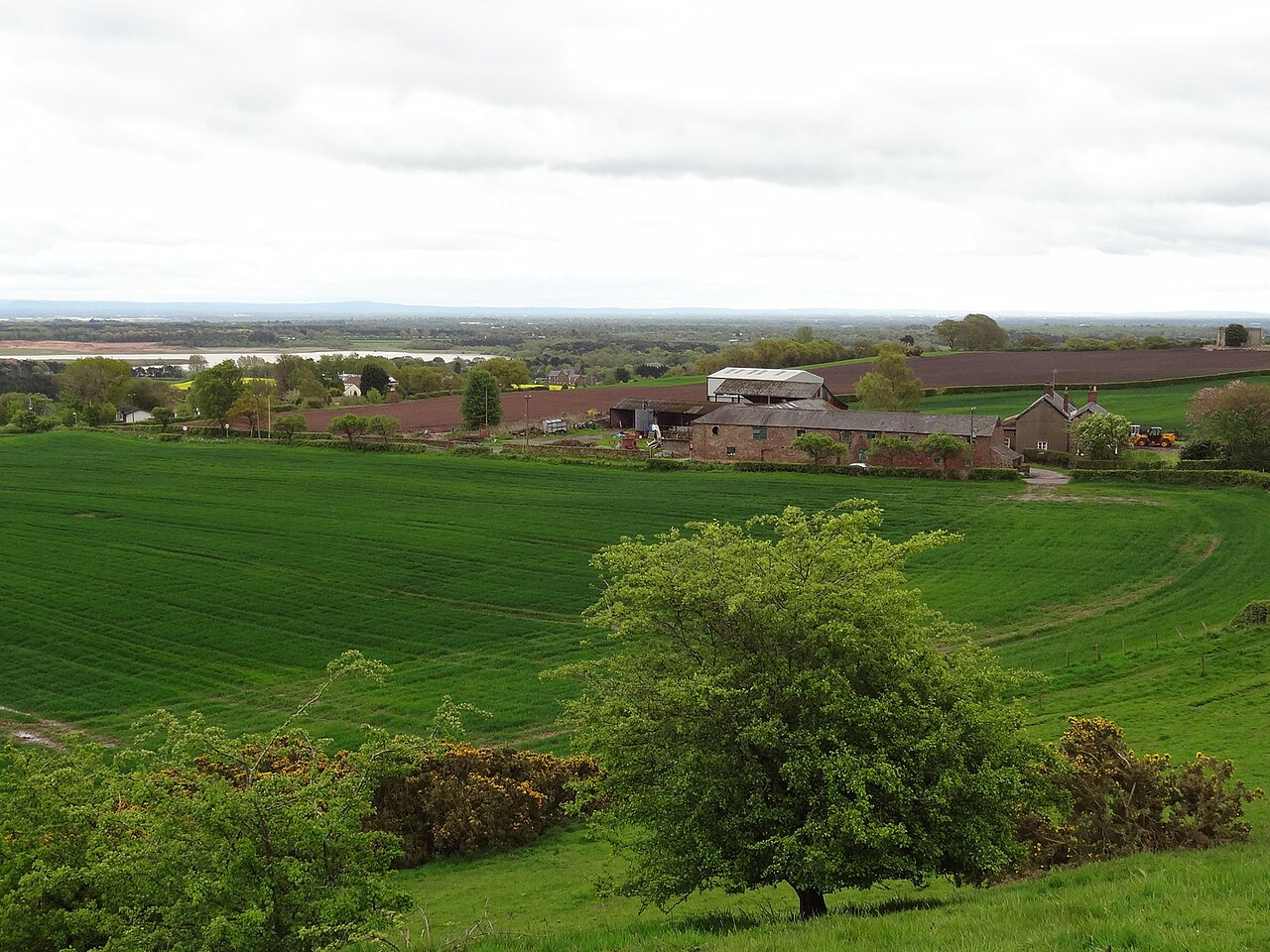 Delamere Farm Shop