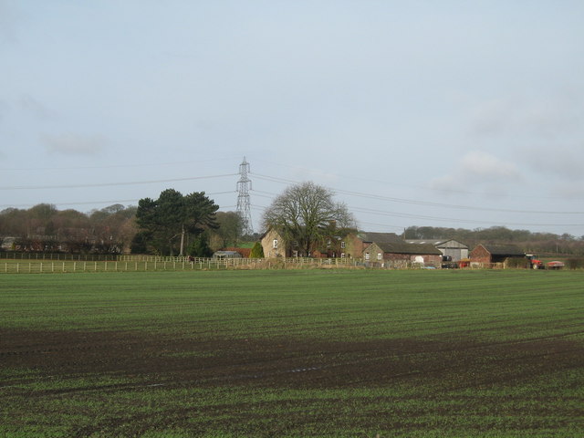 Catchdale moss Farm