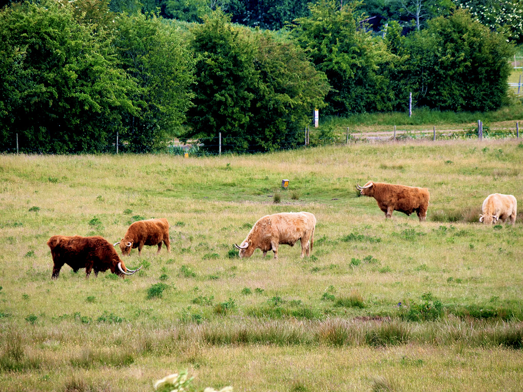 Radcliffe Old Hall Farm