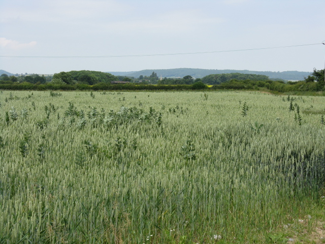 Lyde Court