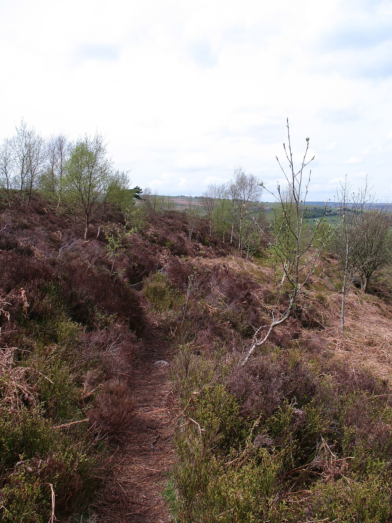 Nought Moor