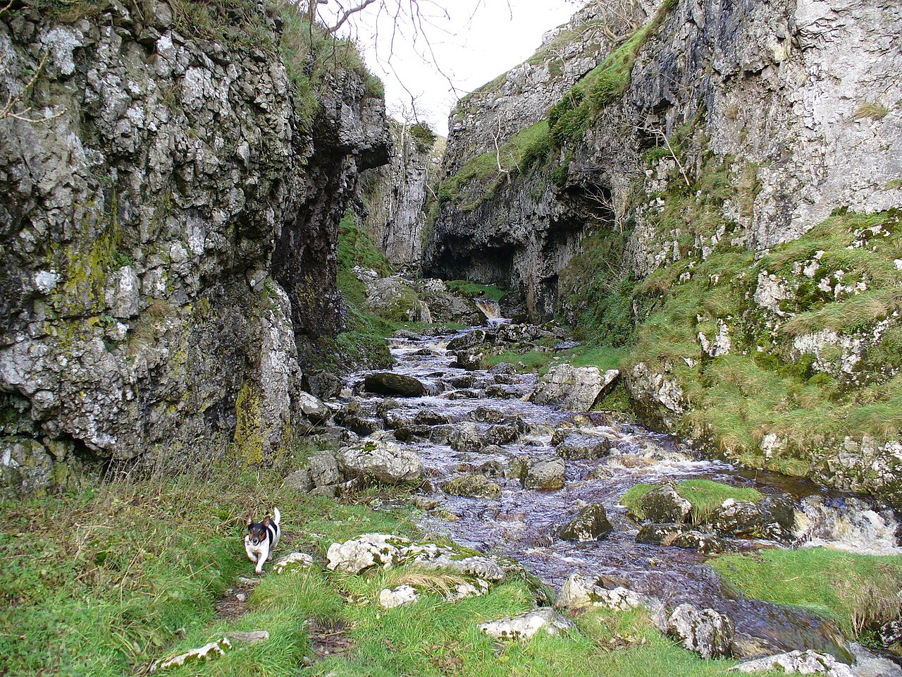 Troller's Gill