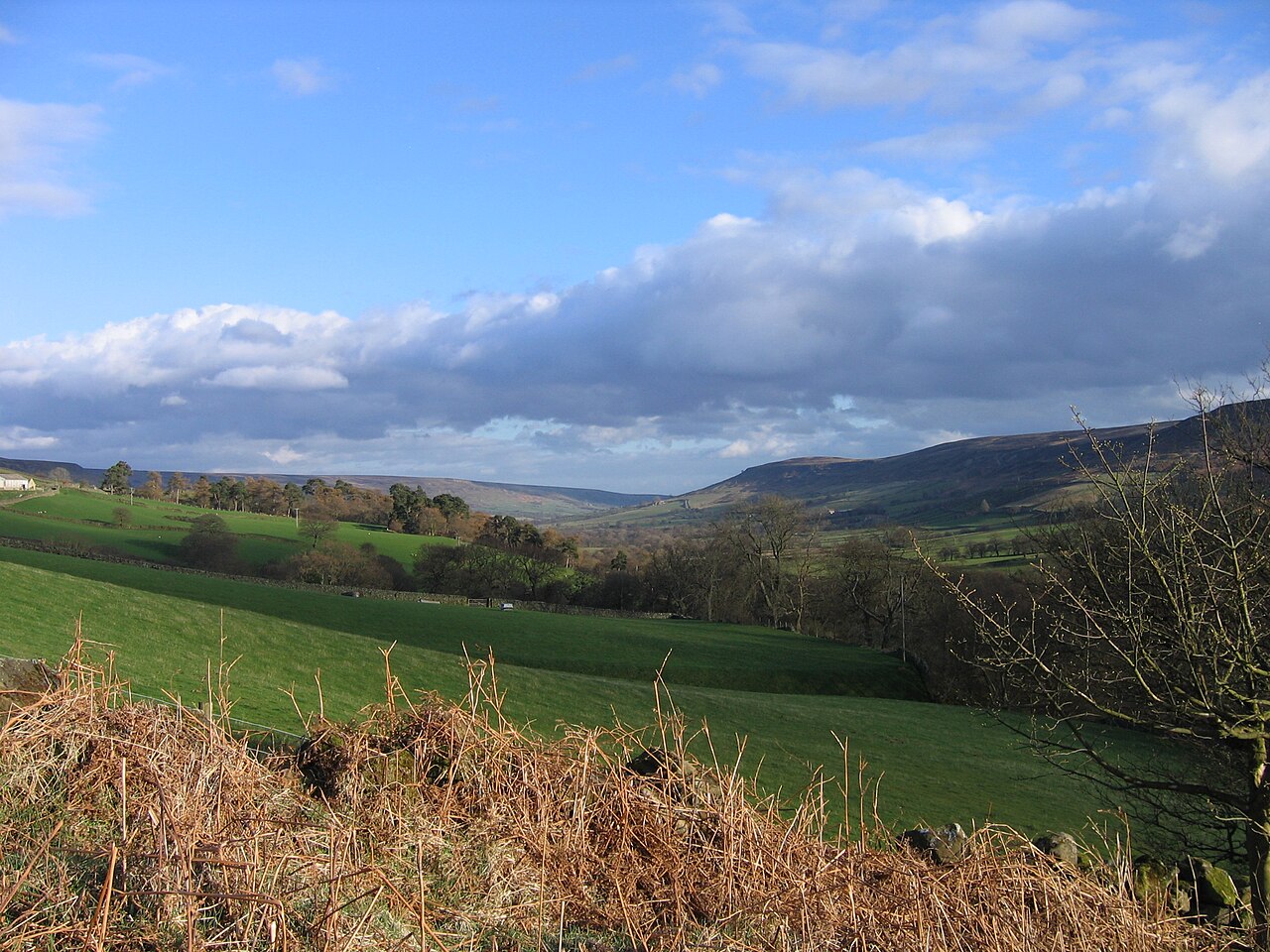 Farndale Show