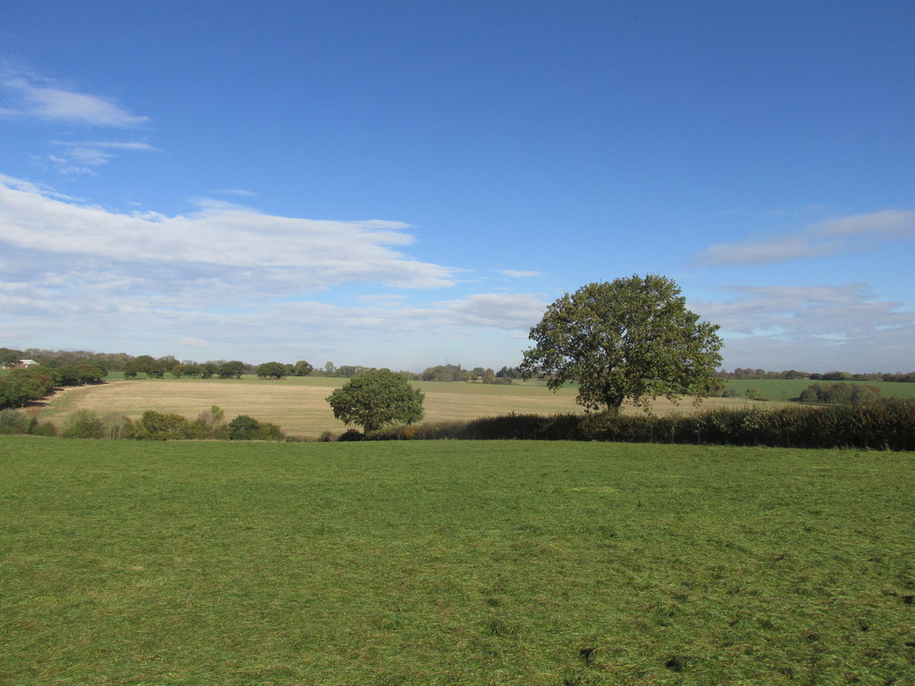 Flying Horse Farm