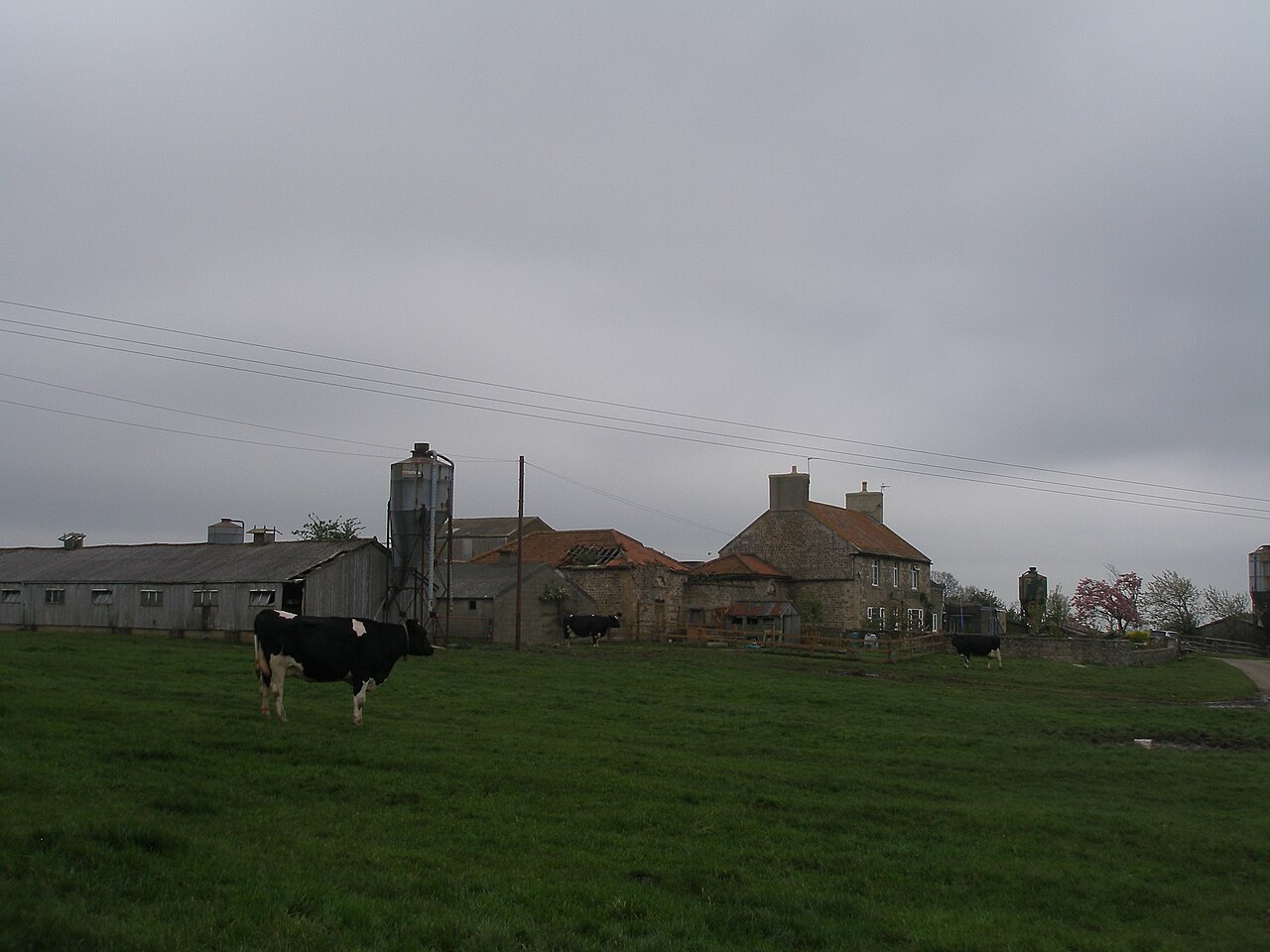 Bland Close Farm