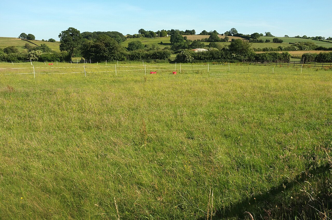 Rudding house farm