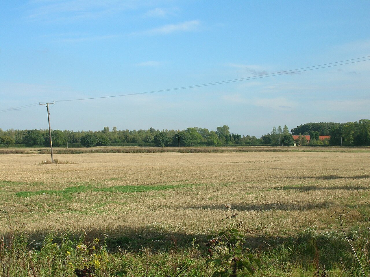 West Farm