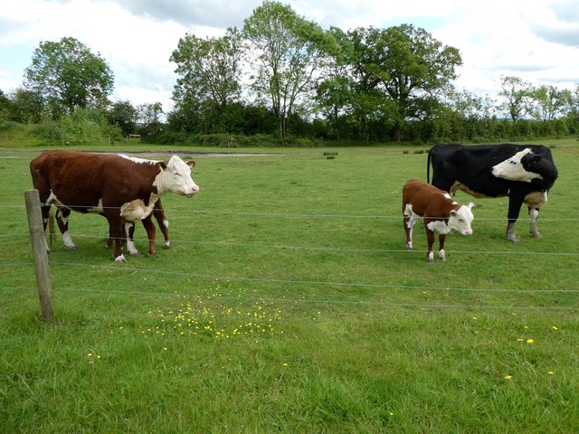 Mead Open Farm