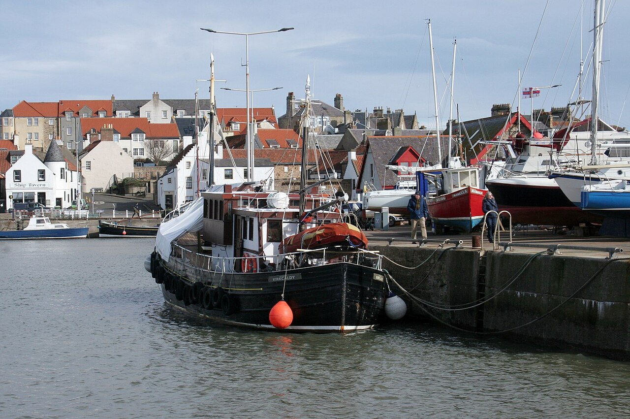 Isle of May Boat Trips