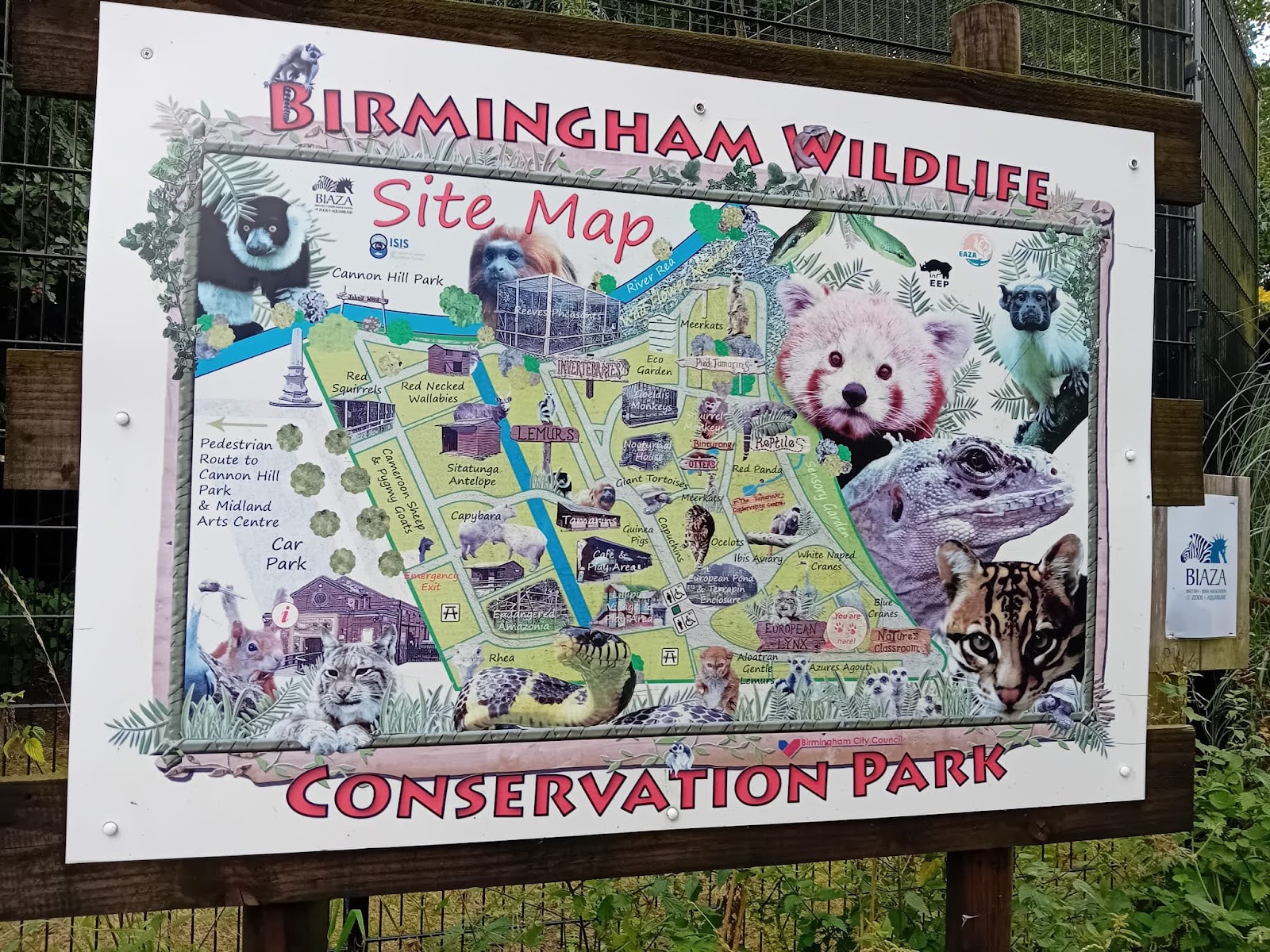 Birmingham Wildlife Conservation Park