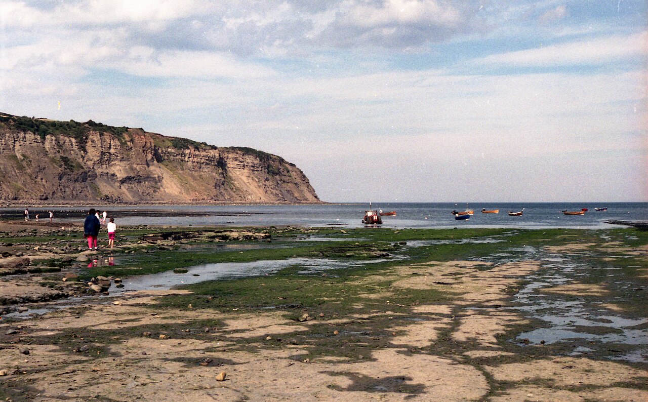 Yorkshire Coast Dinosaur and Fossil Museum