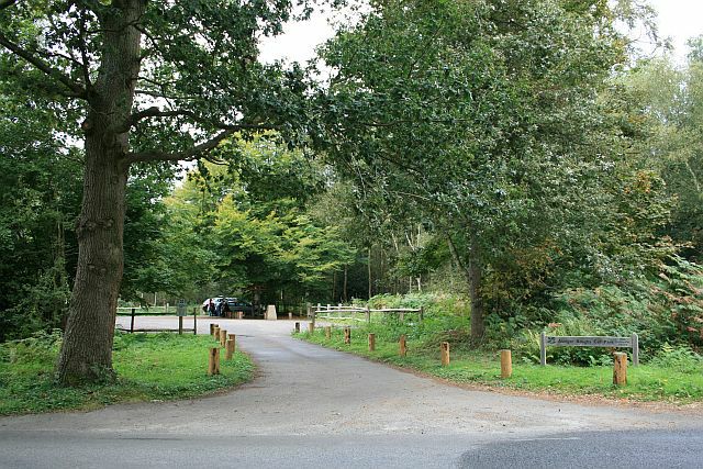 National Trust - Abinger Roughs and Netley Park