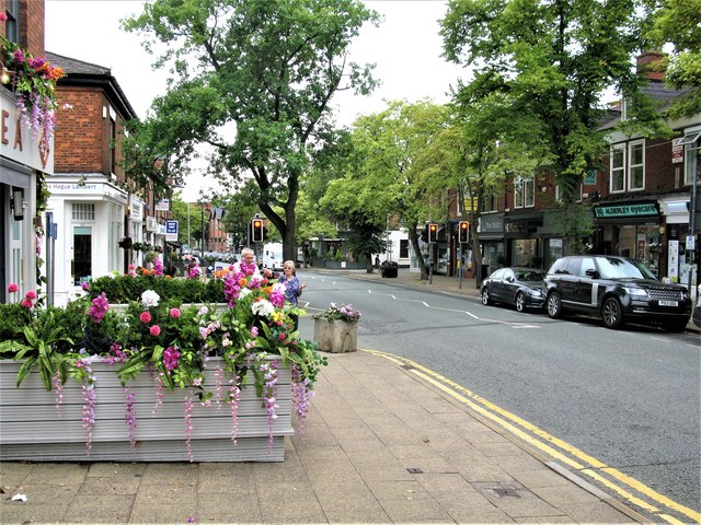 National Trust - Alderley Edge and Cheshire Countryside