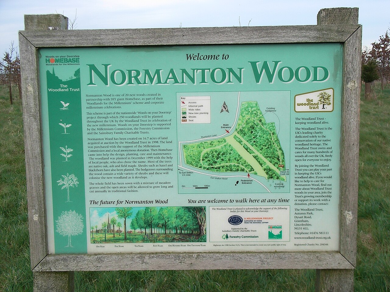 Normanton Millenium Wood