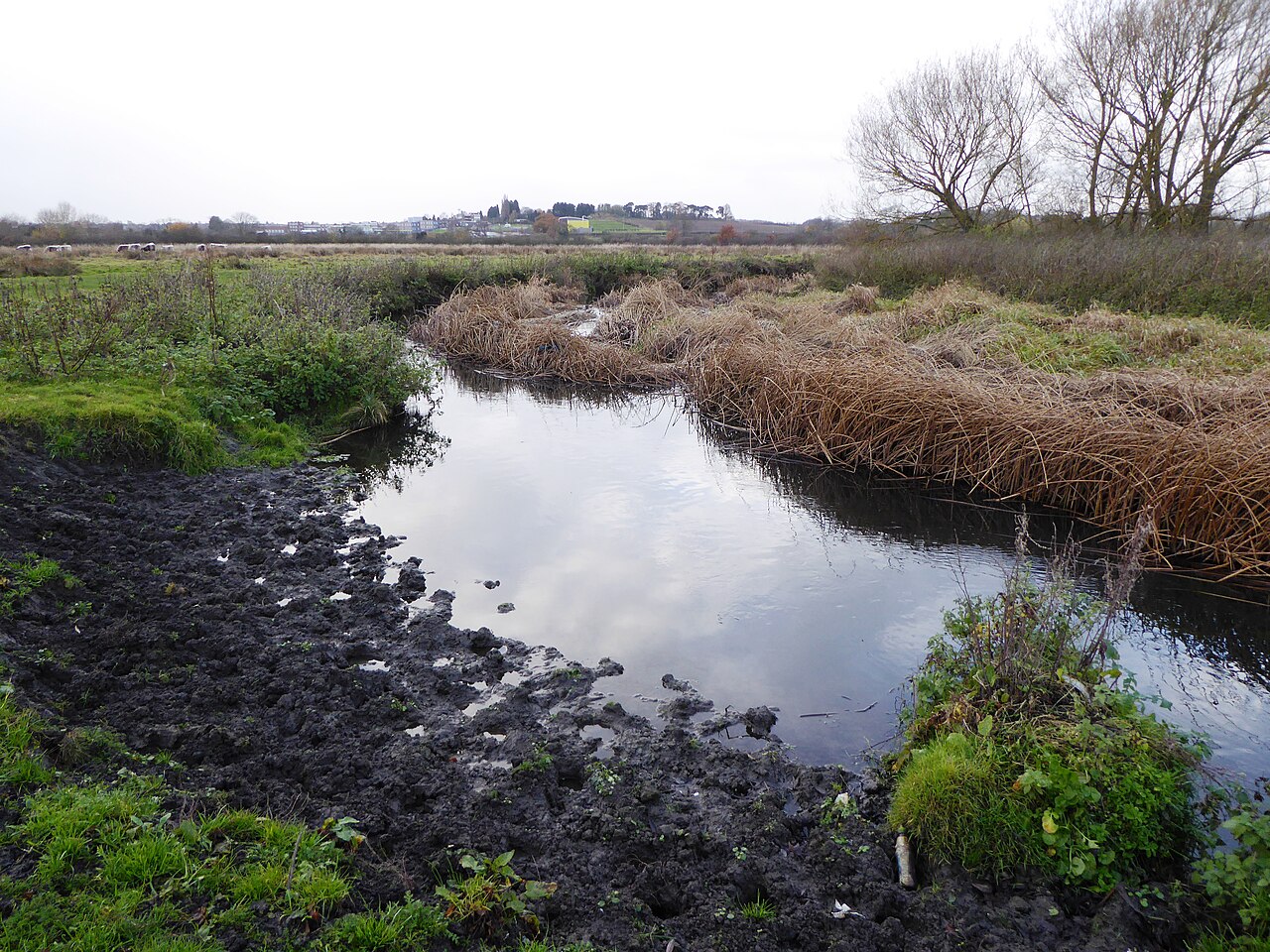 Wanlip Meadows