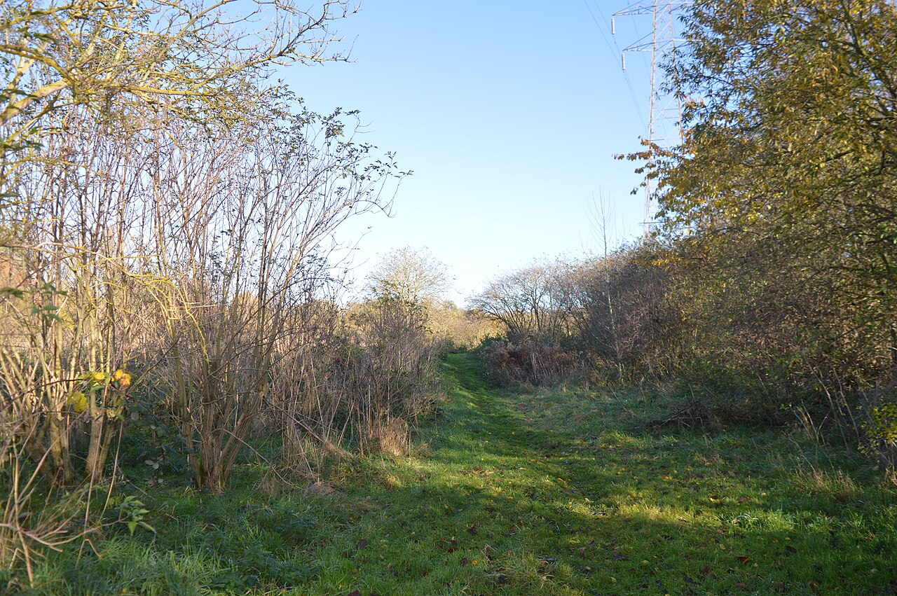Woodston Ponds