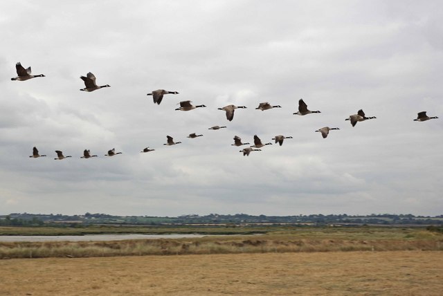 National Trust - Northey Island