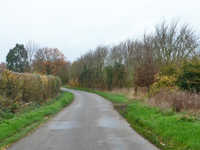 National Trust - Copt Hall Marshes
