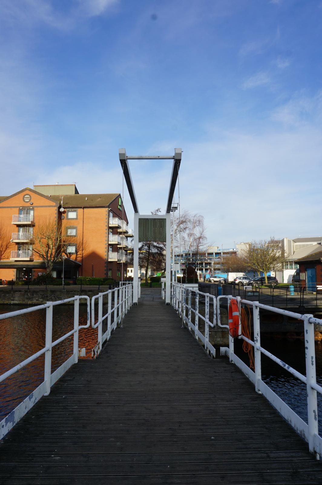 Princes Dock Carp Pond