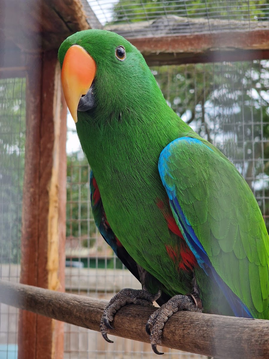Maldon Promenade Zoo