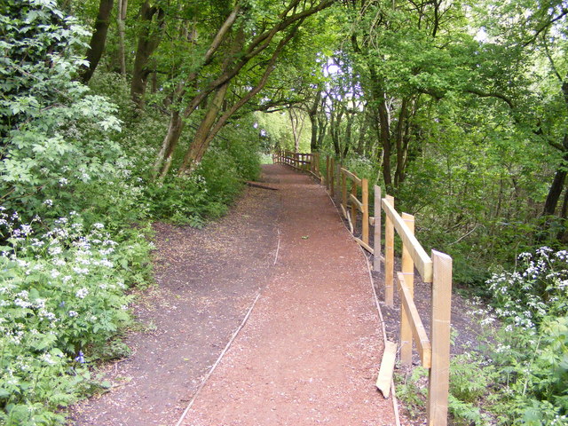 Peascroft Wood