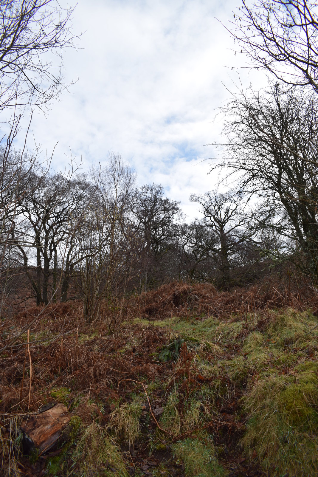National Trust - Aira Force and Gowbarrow Park