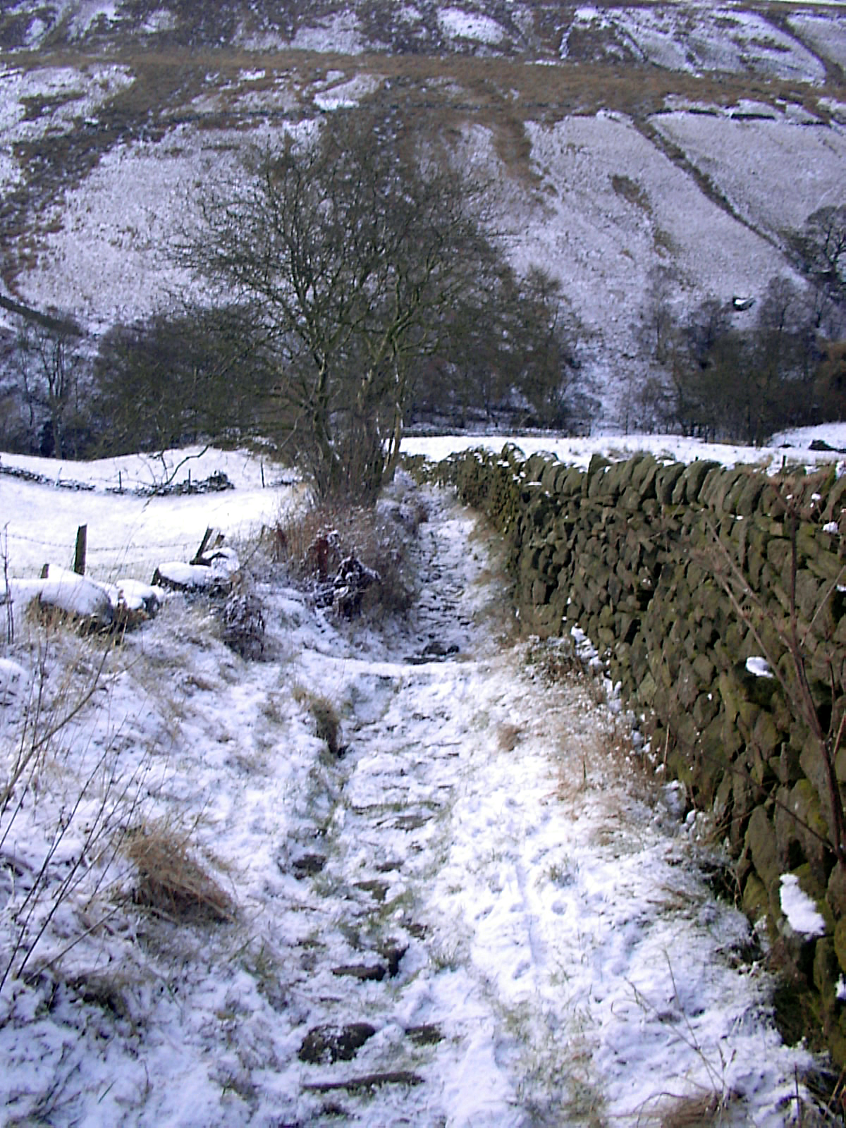 Lumb Falls