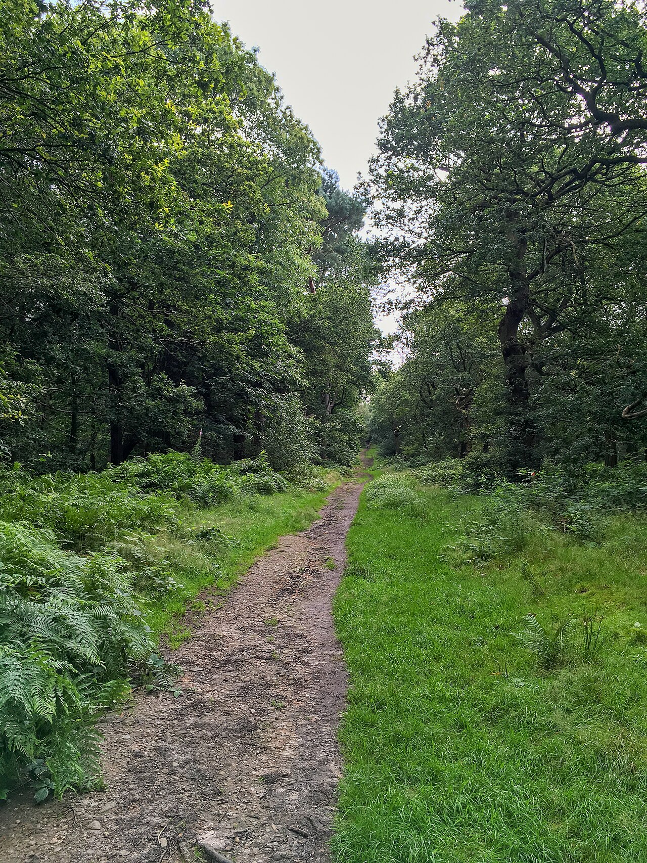 Biddulph Grange Country Park