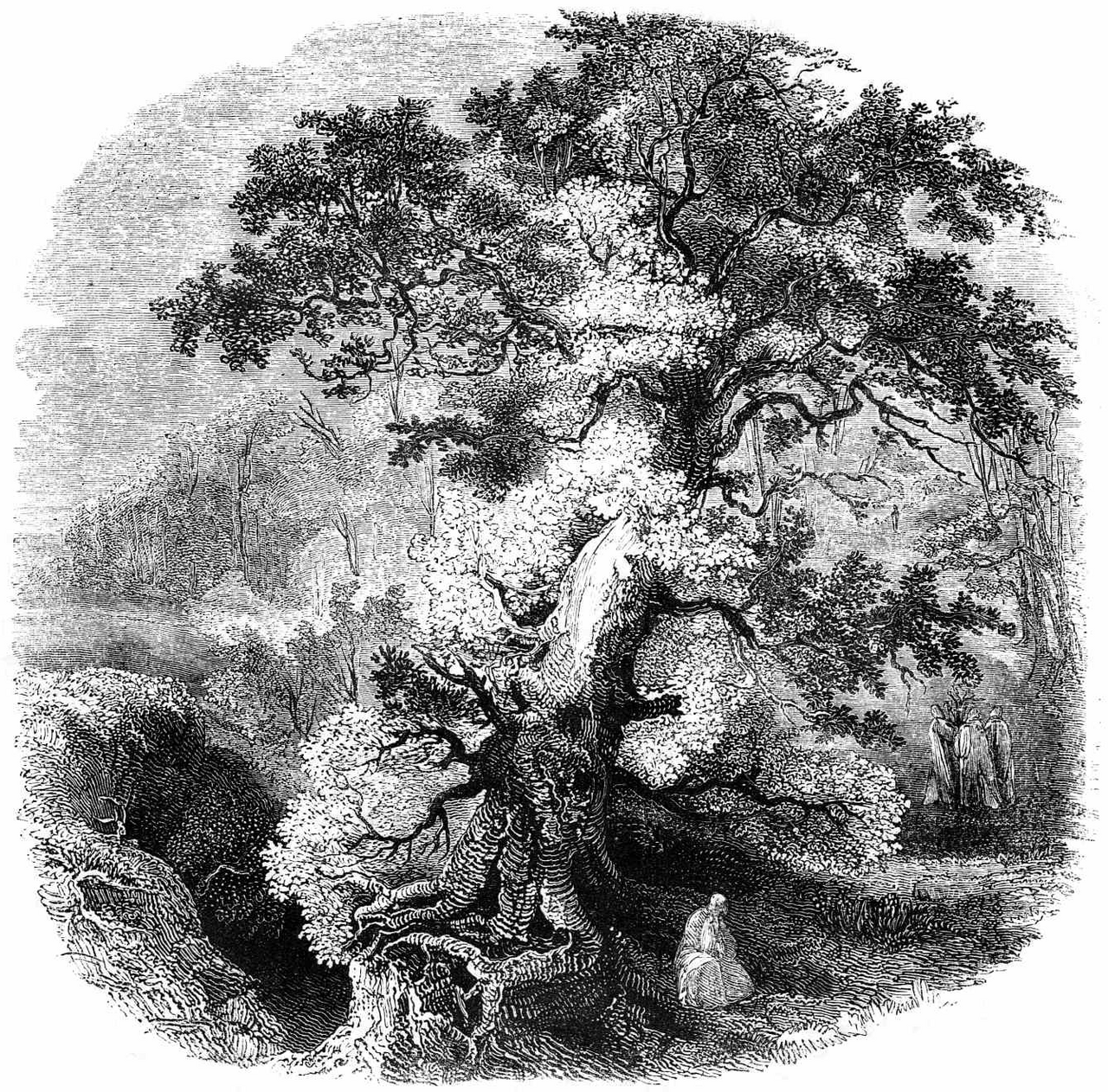 The Fairy Tree