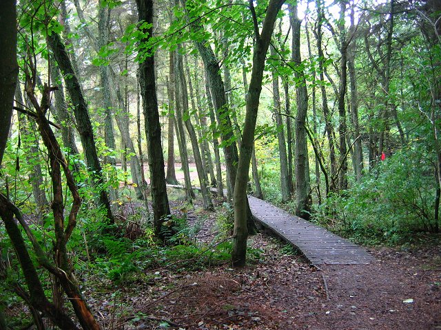 Beecraigs Country Park