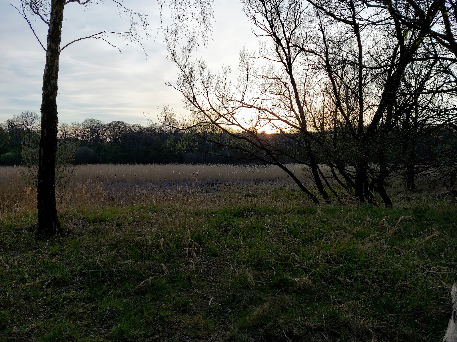 Carron Dams